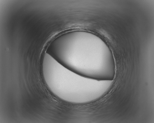 X0000083621267200702120740