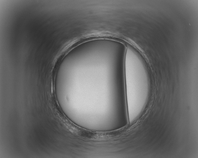 X0000083621269200702120740