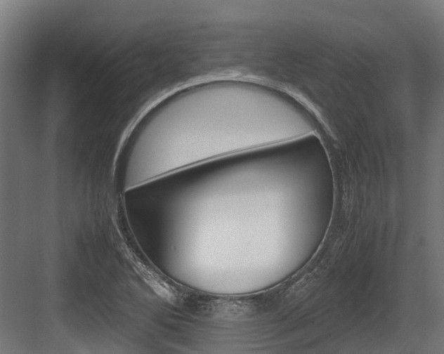 X0000083621270200702120740
