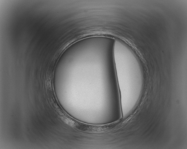 X0000083621273200702120740
