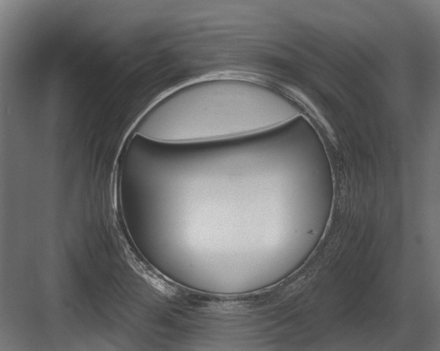 X0000083621276200702120740