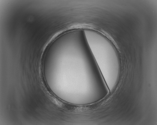 X0000083621277200702120740