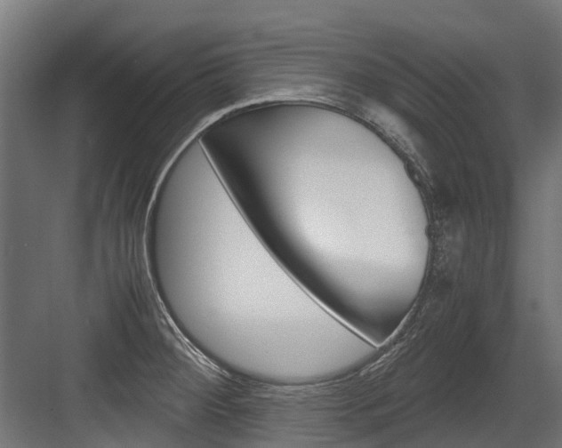 X0000083621284200702120740