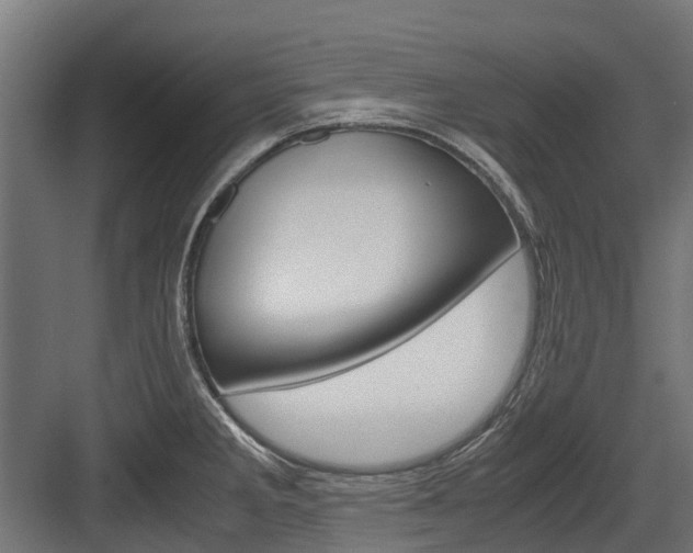 X0000083621285200702120740