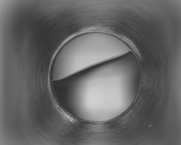 X0000083621288200702120740