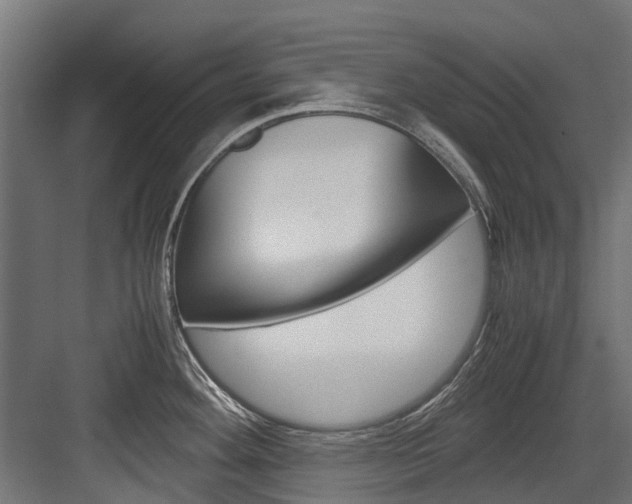 X0000083621292200702120740