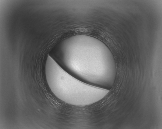 X0000083621297200702120739