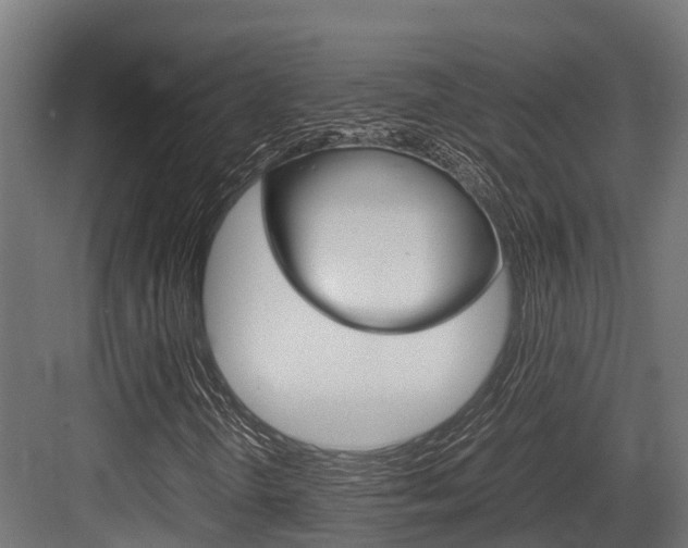 X0000083621298200702120739