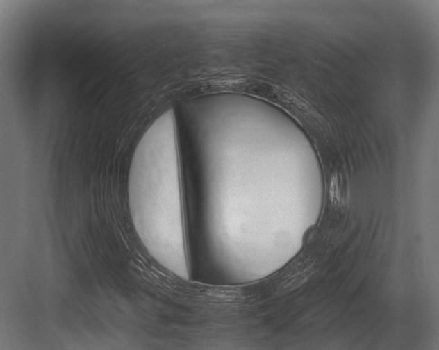 X0000083621299200702120739