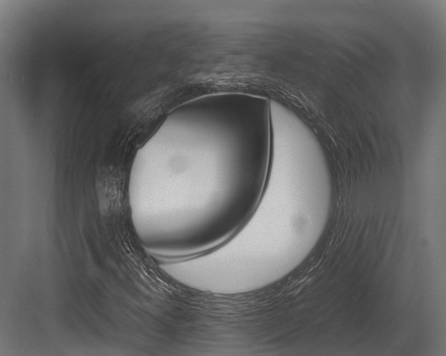 X0000083621300200702120739