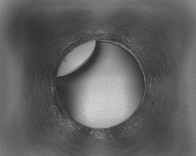 X0000083621301200702120739
