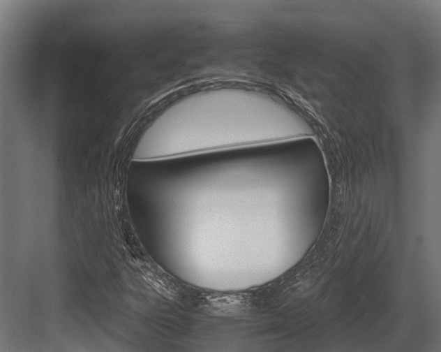 X0000083621303200702120739