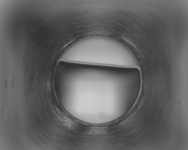X0000083621305200702120739
