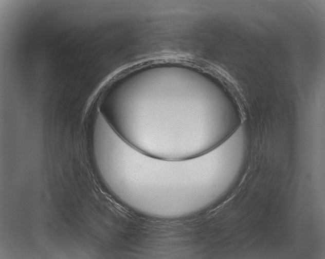 X0000083621310200702120739