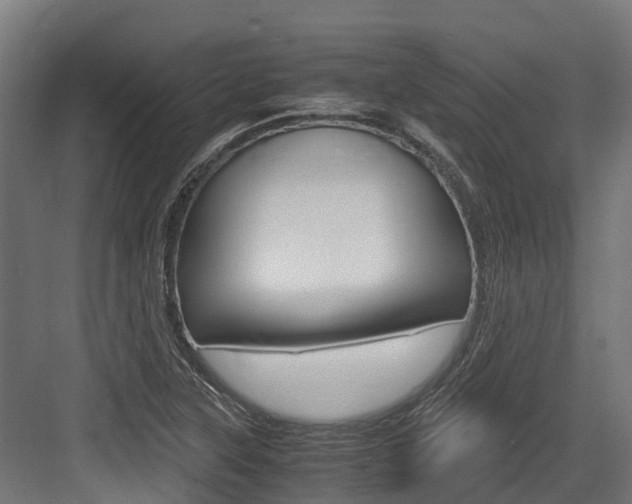 X0000083621315200702120739
