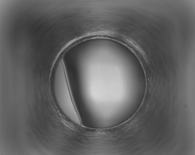 X0000083621316200702120739