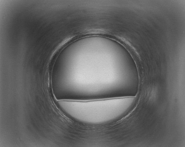 X0000083621317200702120739