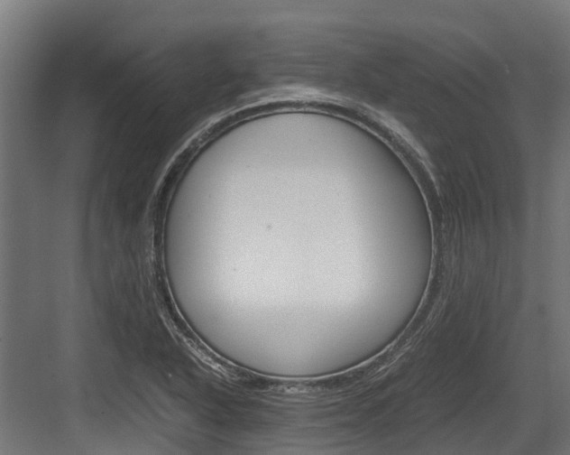 X0000083621318200702120739
