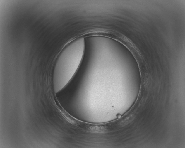 X0000083621321200702120739