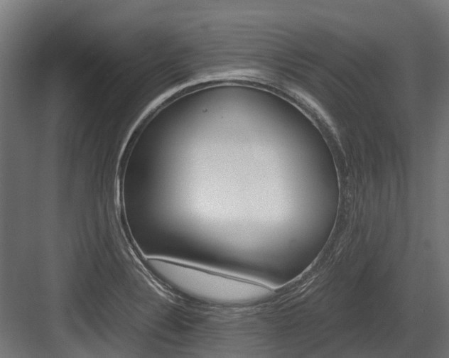 X0000083621324200702120739