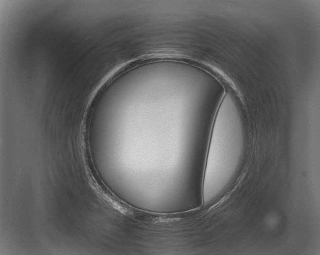 X0000083621325200702120739