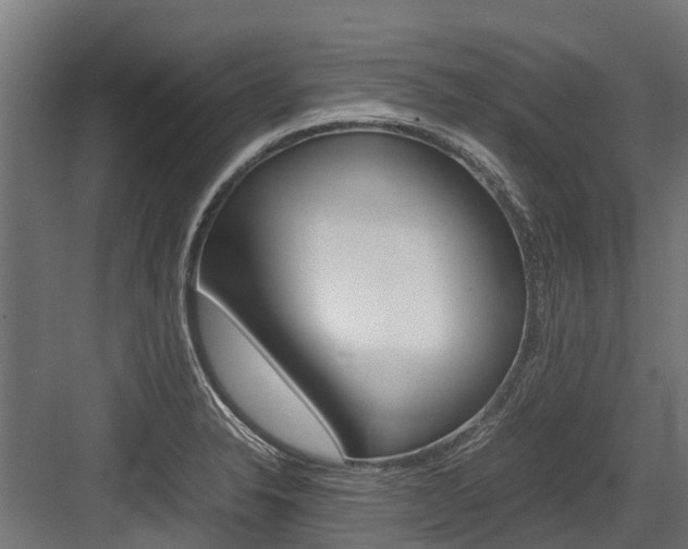 X0000083621326200702120739