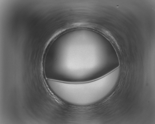 X0000083621328200702120739