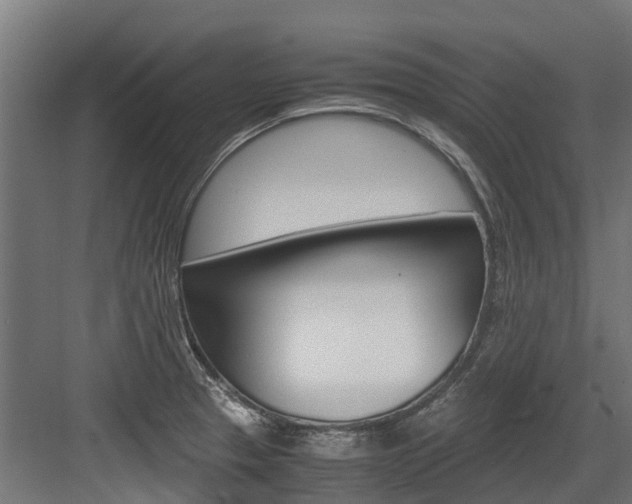 X0000083621329200702120739