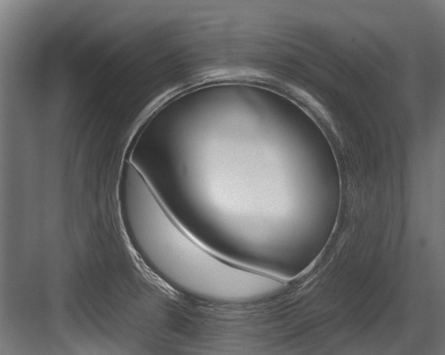 X0000083621330200702120739