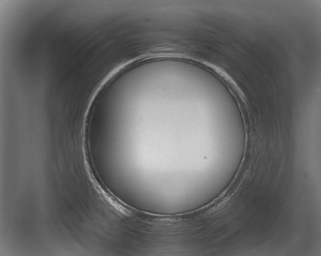 X0000083621333200702120739
