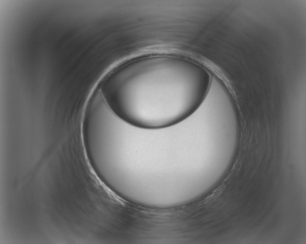 X0000083621334200702120739