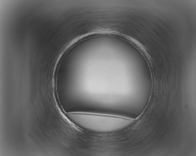 X0000083621335200702120739