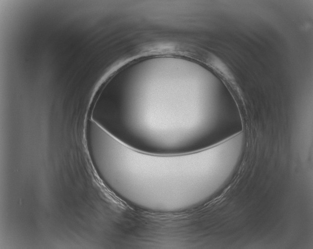 X0000083621336200702120739