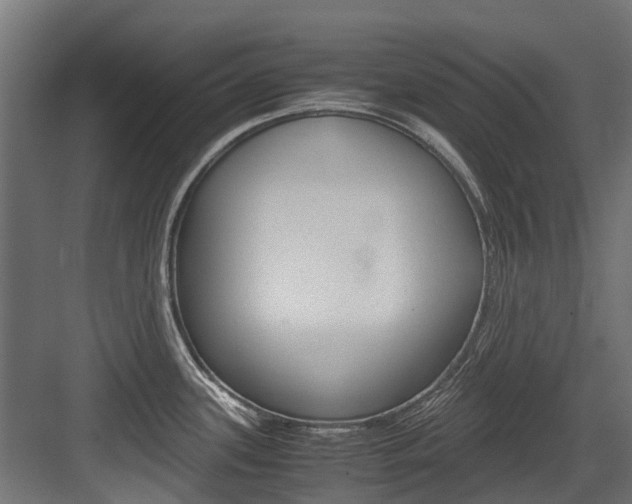 X0000083621339200702120739