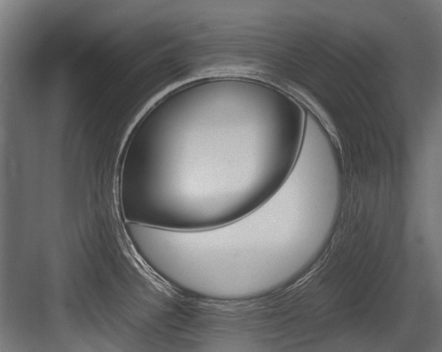 X0000083621340200702120739