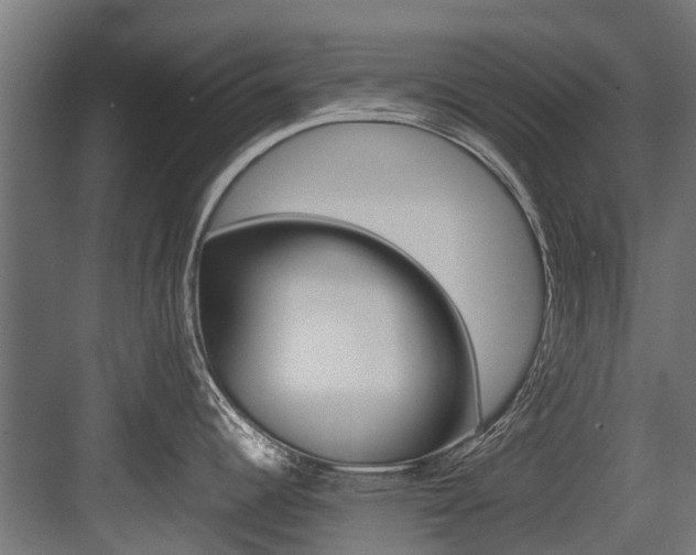 X0000083621344200702120740