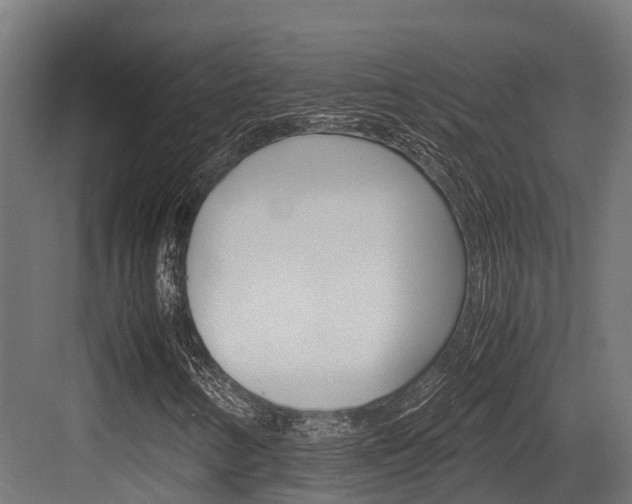 X0000083621346200702120739