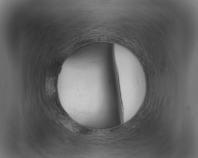 X0000083621347200702120739