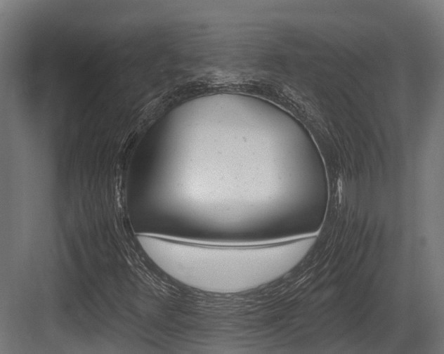X0000083621348200702120739