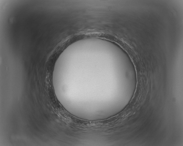 X0000083621351200702120739