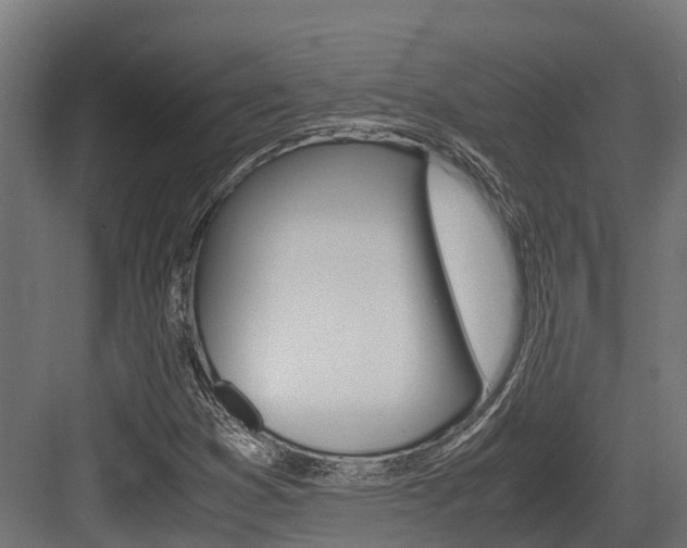 X0000083621353200702120739