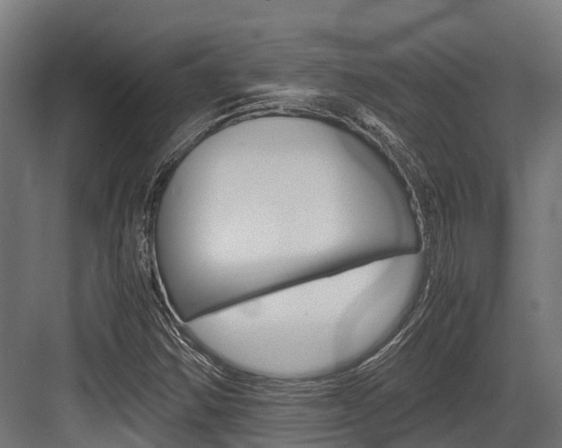 X0000083621354200702120739