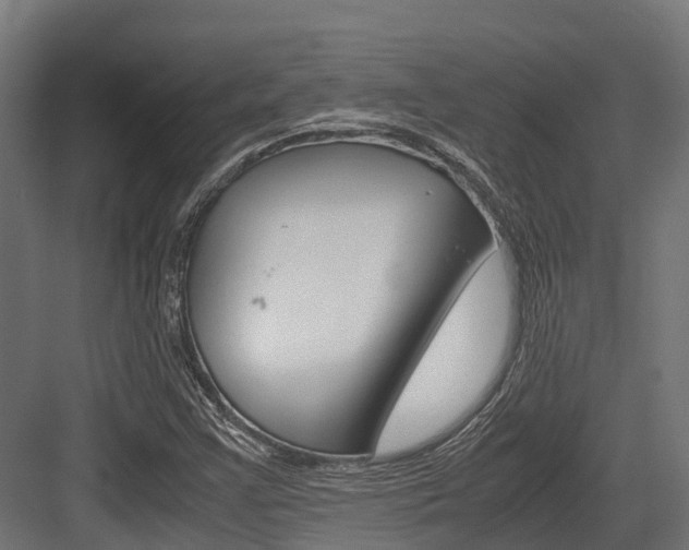 X0000083621355200702120739