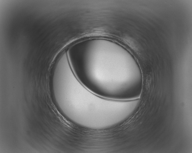 X0000083621356200702120739