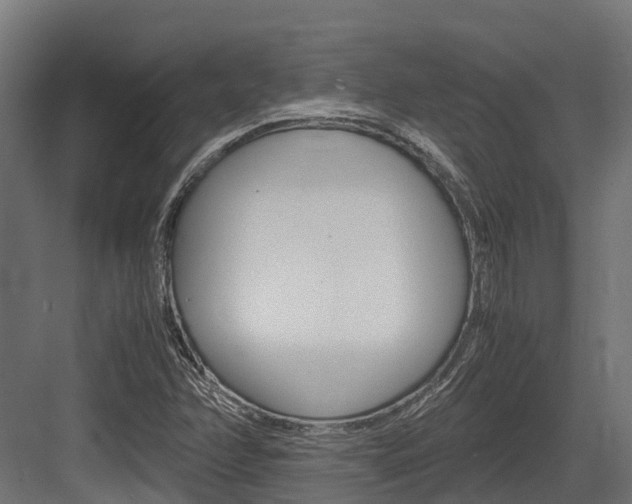 X0000083621358200702120739
