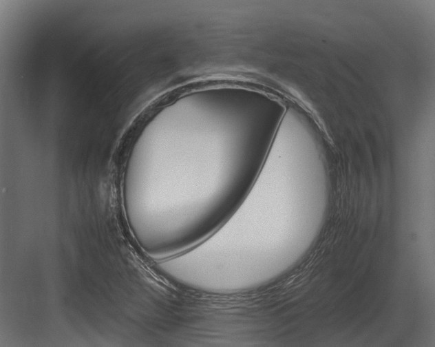 X0000083621360200702120738