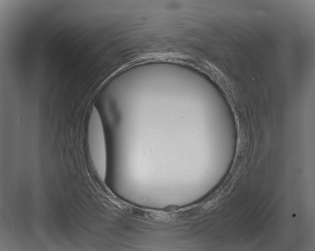 X0000083621361200702120738