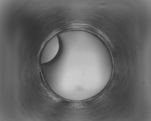 X0000083621362200702120738