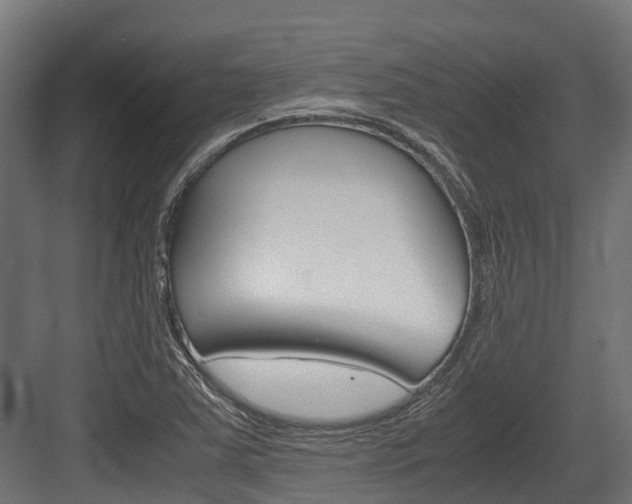 X0000083621363200702120738