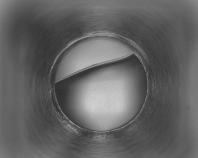 X0000083621364200702120738